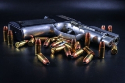 Small arms and light weapons and the international arms trade