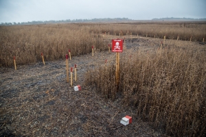 Un campo minato in fase di sminamento nell&rsquo;Ucraina orientale