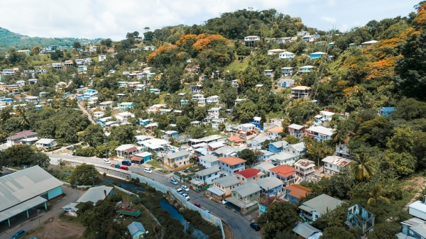Aerial view of a small town surrounded by trees