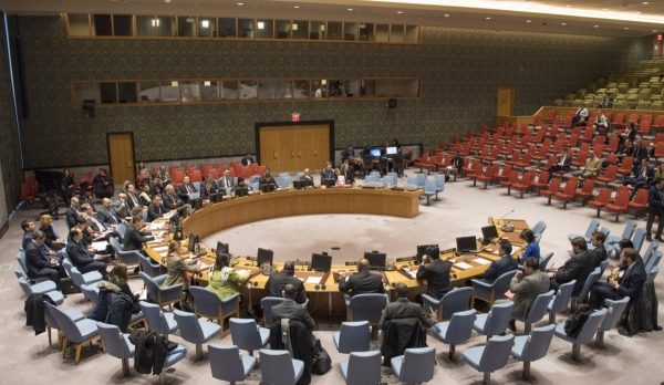 Live webcast of UN Security Council session on June 25th 2020 