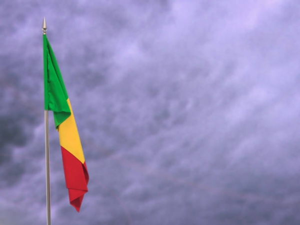 Flag of Mali.