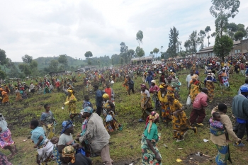 Panico di massa al centro di distribuzione del cibo del WFP, Goma