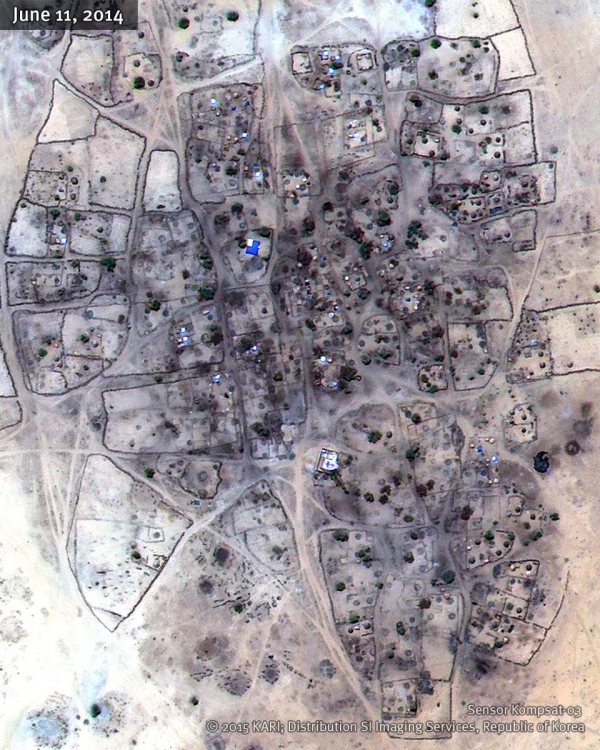 L'immagine satellitare del villagio di Um Gunya, dopo l'offensiva governativa di fine febbraio 2014, mostra aree estese di distruzione di abitazioni incendi di vegetazione