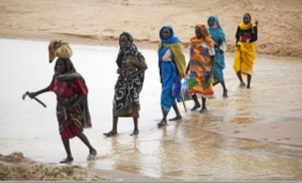 Killings of Displaced Civilians in North Darfur
