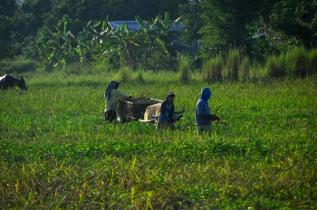 Woman wearing blue dress walking on grass field.
