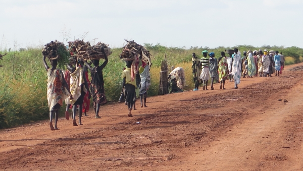 50.000 rifugiati nigeriani fuggono dalle violenze causate da Boko Haram