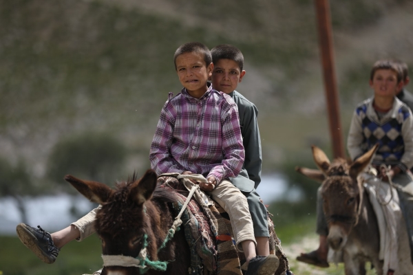 Two Afghani displaced children riding horses.
