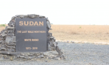 Sudan, i diritti umani sono l&#039;unica garanzia per il futuro