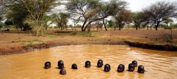 Children swimming in a waterhole in Burkina Faso.