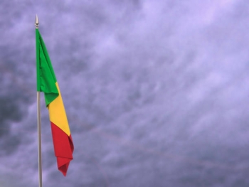 Flag of Mali.