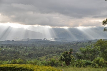 View of Rwenzori, on the border between DRC and Uganda 
