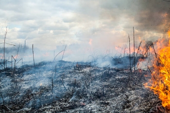 Fire in the field near the city of Kyiv, Ukraine