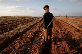 A boy working on a farm
