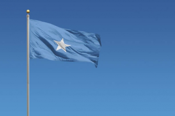  Bandiera della Somalia