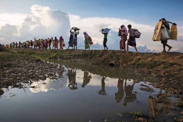 The drama of the Rohingya