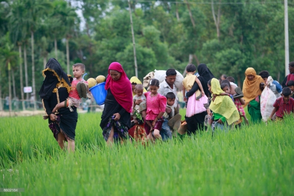 I Rohingya fuggono dalle violenze in Myanmar