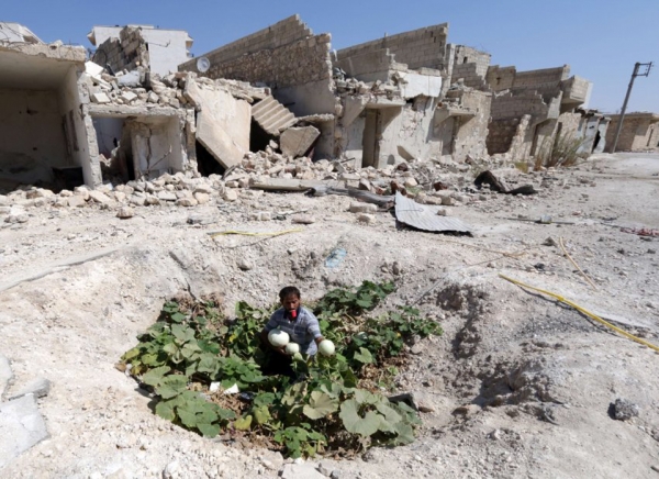 A Syrian man collects vegetables from a vegetable patch amongst the ruins of Baedeen, Aleppo, 2014