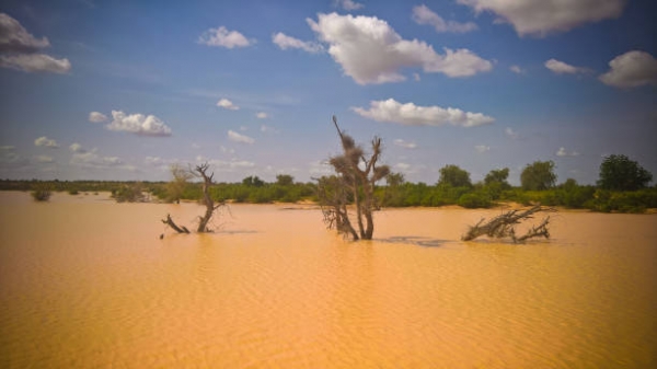 Il deserto del Sahel con un fiume allagato a Dogondoutchi, Niger