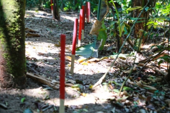 Demining operations in Colombia