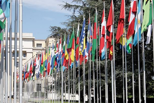 Bandiere dei Paesi membri ONU