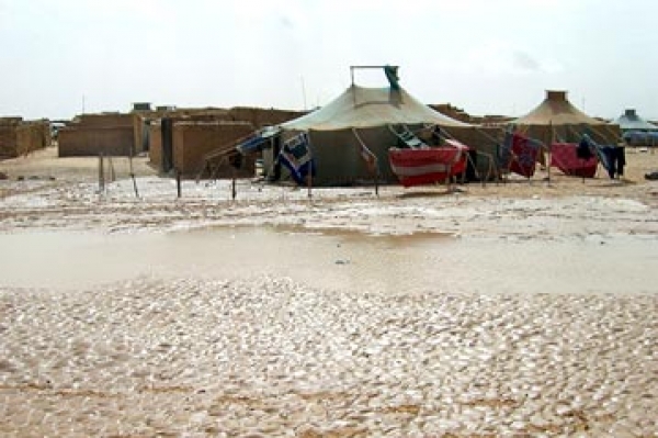 Torrential rains have created havoc and huge damage in refugee camps in the deserts around Tindouf in western Algeria.