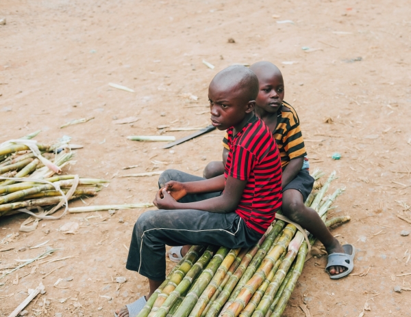 Due bambini seduti su un mucchio di canne di bambù a Bukavu, Repubblica Democratica del Congo