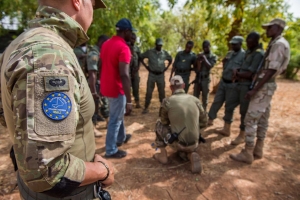 EUTM forces involved in a training session in Mali